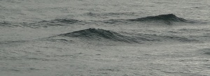 Wave 5
