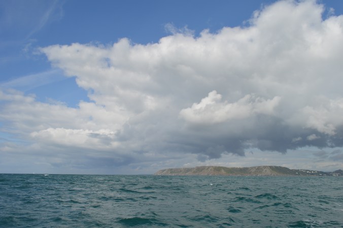 48. Weather, Bolt Head