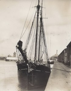 'Ellie Park' of Barrow, built 1879 by Furness.S.B Co, Barrow, now an auxiliary