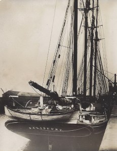'Salisbury' of Rauma, discharging timber at Garston